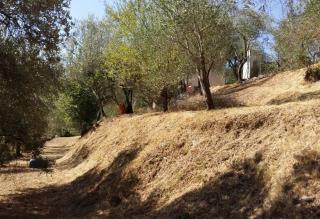 Terreno agricolo in vendita a Tendola, Fosdinovo (MS)