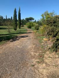 Casa indipendente in vendita a Agnano, San Giuliano Terme (PI)