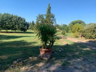 Casa indipendente in vendita a Agnano, San Giuliano Terme (PI)