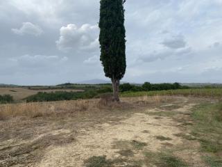 Casa indipendente in vendita a Montelupo Fiorentino (FI)