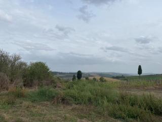 Casa indipendente in vendita a Montelupo Fiorentino (FI)