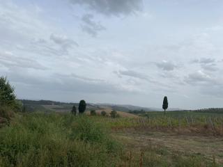 Casa indipendente in vendita a Montelupo Fiorentino (FI)