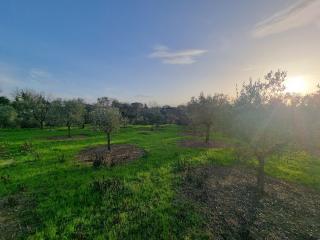 Terreno agricolo in vendita a Cerretti, Santa Maria A Monte (PI)