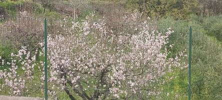 Terreno agricolo in vendita a Presa, Piedimonte Etneo (CT)