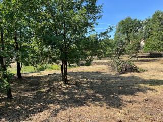 Terreno agricolo in vendita a Presa, Piedimonte Etneo (CT)