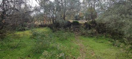 Terreno agricolo in vendita a Presa, Piedimonte Etneo (CT)