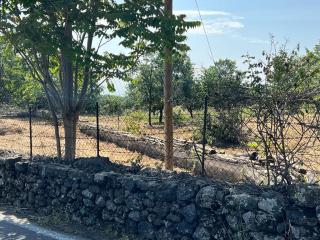 Terreno agricolo in vendita a Presa, Piedimonte Etneo (CT)