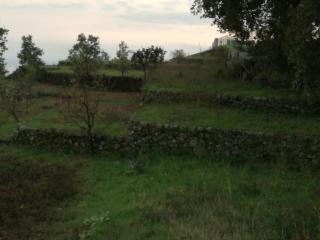 Terreno agricolo in vendita a Presa, Piedimonte Etneo (CT)