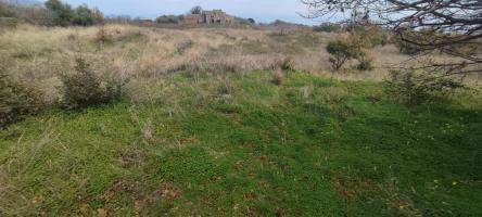 Terreno agricolo in vendita a Presa, Piedimonte Etneo (CT)