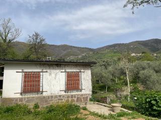 Casa indipendente in vendita a Rezzano, Calci (PI)