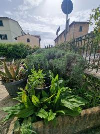 Casa indipendente in vendita a Gracciano Dell'elsa, Colle Di Val D'elsa (SI)