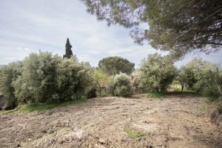 Casa indipendente in vendita a Santa Maria A Monte (PI)