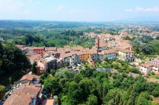 Attività commerciale in vendita a Montopoli In Val D'arno (PI)