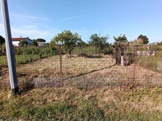 Terratetto in vendita a San Giuliano Terme (PI)