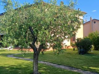 Villetta in vendita a Le Maggiola, San Giuliano Terme (PI)