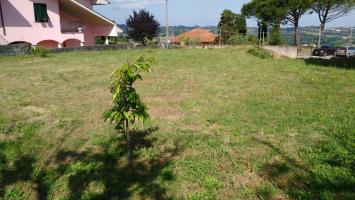 Terreno edificabile in vendita a Soiana, Terricciola (PI)