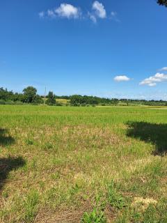 Terreno agricolo in vendita a Collesalvetti (LI)