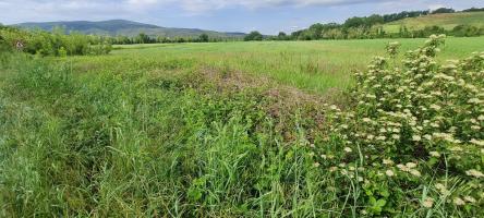 Terreno agricolo in vendita a Castellina Scalo, Monteriggioni (SI)