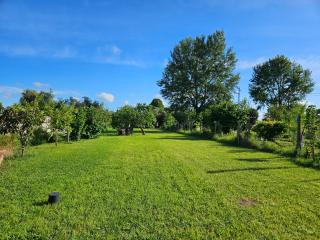 Viareggina in vendita a San Lorenzo A Pagnatico, Cascina (PI)