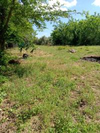 Terreno agricolo in vendita a Tremoleto, Crespina Lorenzana (PI)