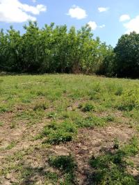 Terreno agricolo in vendita a Tremoleto, Crespina Lorenzana (PI)