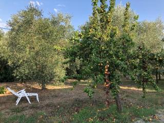 Casa indipendente in vendita a Ghizzano, Peccioli (PI)