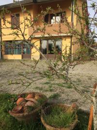 Casa indipendente in vendita a Ghizzano, Peccioli (PI)