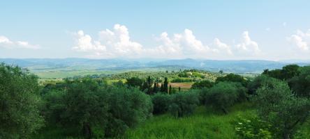 Casa indipendente in vendita a Montemerano, Manciano (GR)