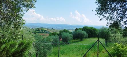 Casa indipendente in vendita a Montemerano, Manciano (GR)