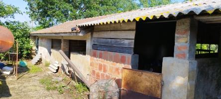 Casa indipendente in vendita a Orbetello (GR)