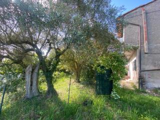 Porzione di casa in vendita a Marti, Montopoli In Val D'arno (PI)