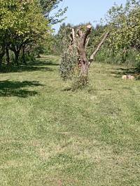 Terreno agricolo in vendita a La Vettola, Pisa (PI)