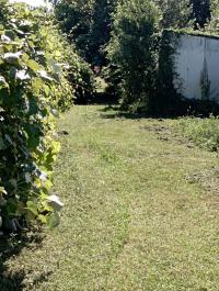 Terreno agricolo in vendita a La Vettola, Pisa (PI)