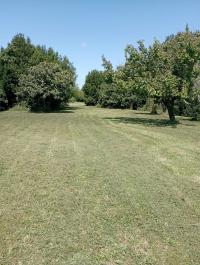 Terreno agricolo in vendita a La Vettola, Pisa (PI)