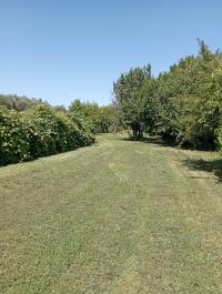 Terreno agricolo in vendita a La Vettola, Pisa (PI)