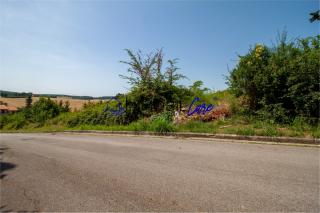 Terreno agricolo in vendita a Nugola Vecchia, Collesalvetti (LI)