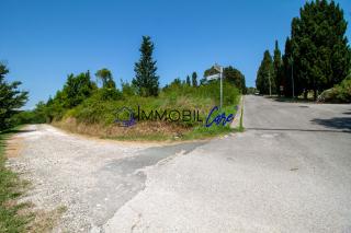 Terreno agricolo in vendita a Nugola Vecchia, Collesalvetti (LI)