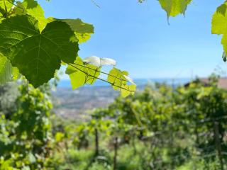 Terratetto in vendita a Bargana, Massa (MS)