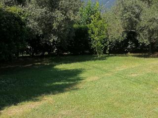 Terratetto in vendita a Mezzana, San Giuliano Terme (PI)