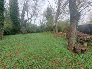 Terreno agricolo in vendita a Tirrenia, Pisa (PI)