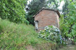 Casa indipendente in vendita a Massa (MS)