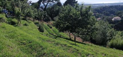 Casa indipendente in vendita a Massa (MS)