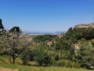 Casa indipendente in vendita a Massa (MS)