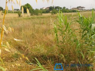 Terreno agricolo in vendita a Larciano (PT)