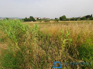 Terreno agricolo in vendita a Larciano (PT)