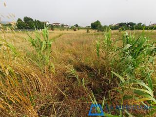 Terreno agricolo in vendita a Larciano (PT)