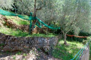 Casa indipendente in vendita a Capezzano, Pietrasanta (LU)