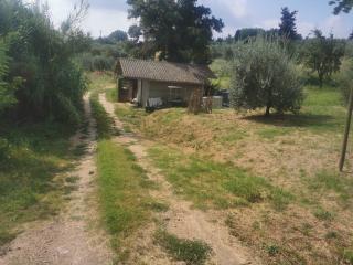 Annesso agricolo in vendita a Capannoli (PI)