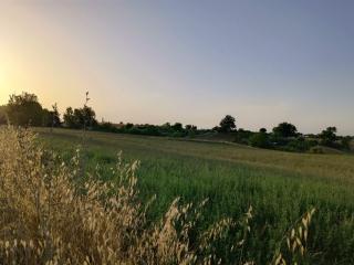 Terreno agricolo in vendita a Colle Di Val D'elsa (SI)