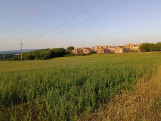 Terreno agricolo in vendita a Colle Di Val D'elsa (SI)